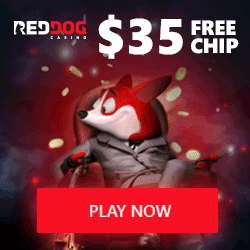 Red Dog Casino